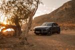 Porsche Cayenne 2017 года (WW)